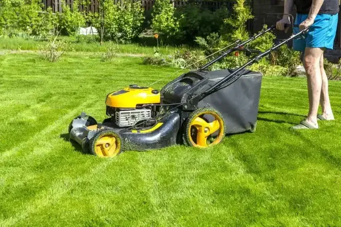 Affordable Lawn Mowing in Lewisville, TX