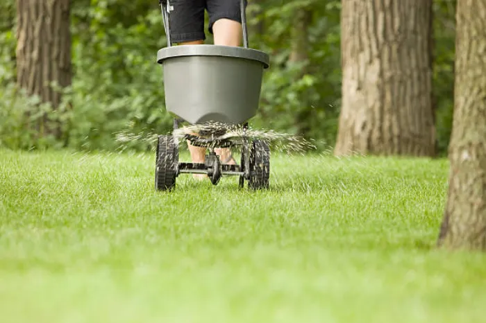 Dependable Lawn Fertilization in Lewisville, TX