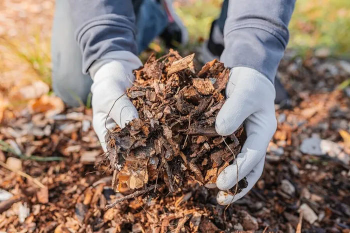 Dependable Mulching in Lewisville, TX