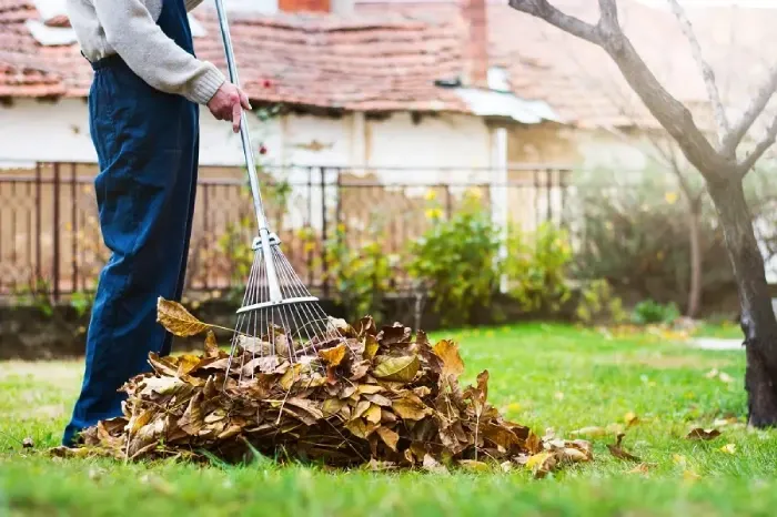 Detailed Yard Cleanup in Lewisville, TX