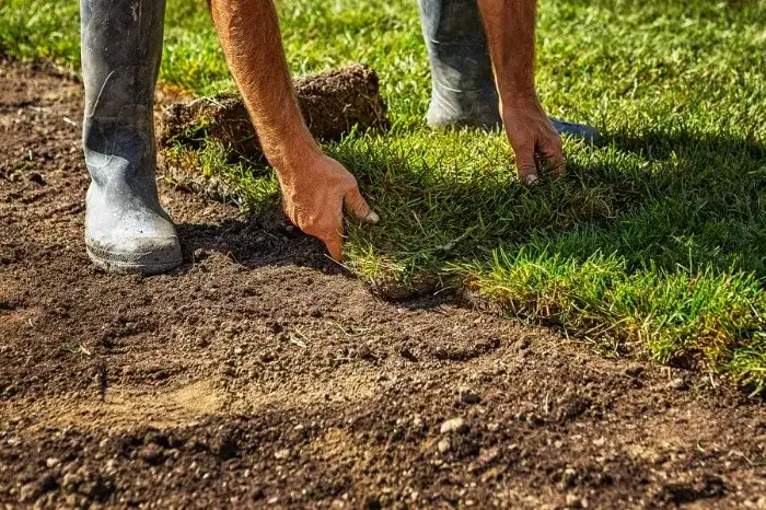 Excellent Sod Installation in Lewisville, TX