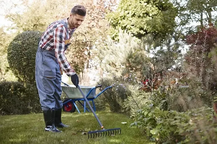 Exceptional Yard Cleanup in Lewisville, TX