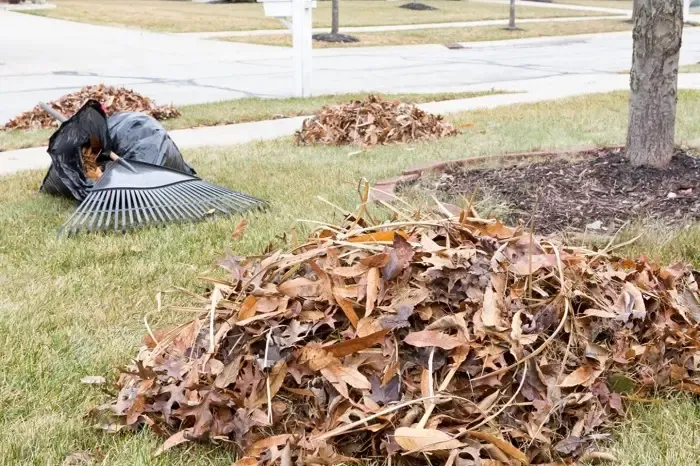 High-quality Yard Cleanup in Lewisville, TX