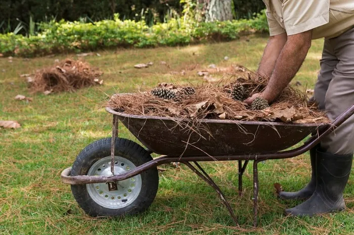 How To Clean A Backyard in Lewisville, TX