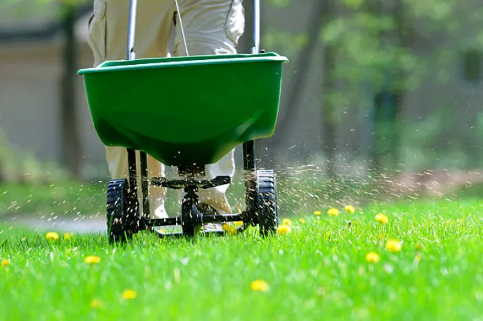 How often should you fertilize your lawn in Lewisville, TX