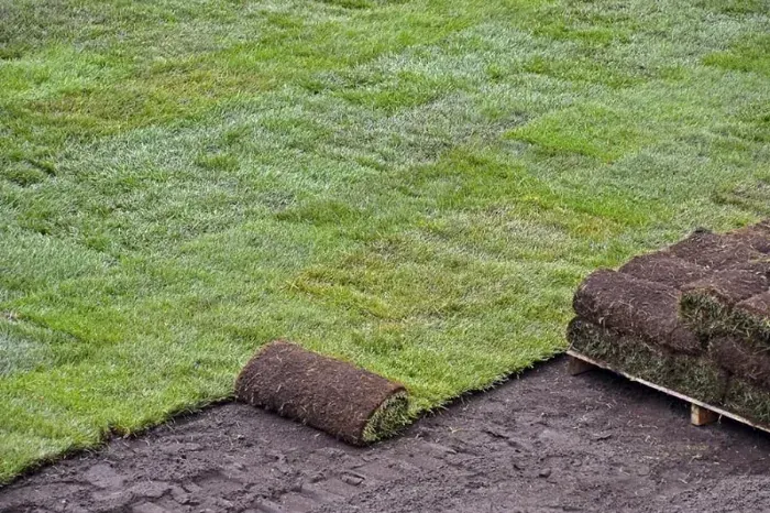 How to lay sod over existing lawn Lewisville, TX