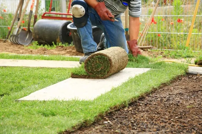 How to lay sod over existing lawn in Lewisville, TX