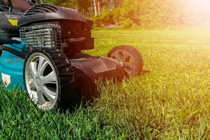 Professional Lawn Mowing in Lewisville, TX