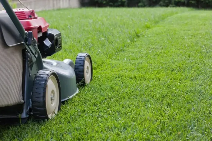 Reliable Lawn Mowing in Lewisville, TX