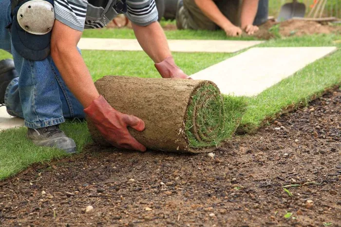 Trusted Sod Installation in Lewisville, TX