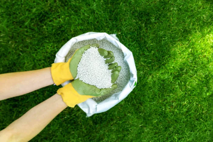 When is the best time to fertilize your lawn Lewisville, TX