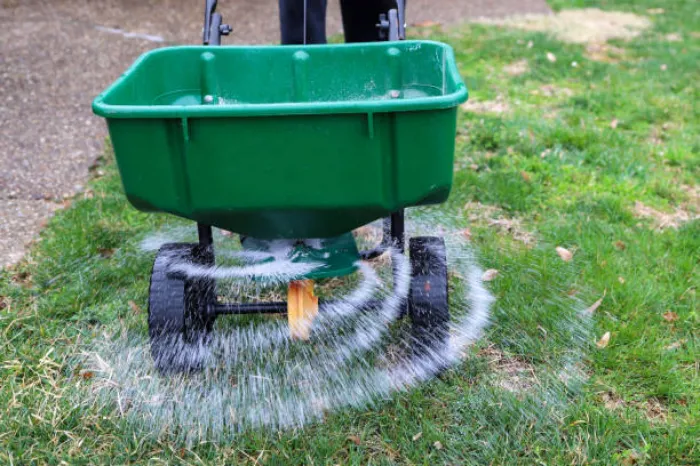 When is the best time to fertilize your lawn in Lewisville, TX